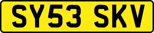 SY53SKV