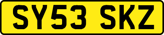 SY53SKZ