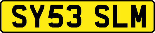 SY53SLM