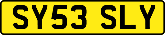 SY53SLY