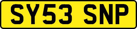 SY53SNP