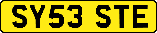 SY53STE