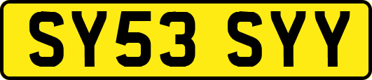 SY53SYY