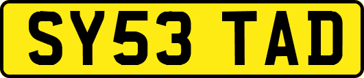 SY53TAD