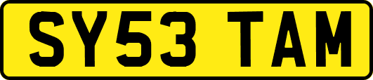 SY53TAM