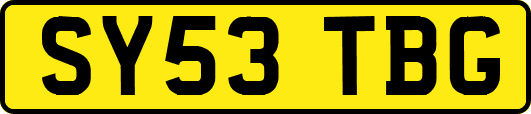 SY53TBG