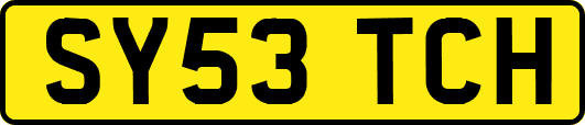 SY53TCH