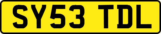 SY53TDL