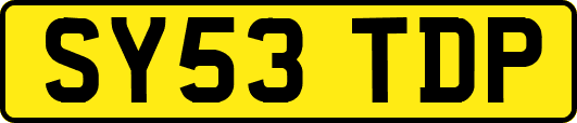 SY53TDP
