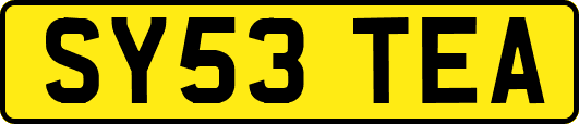 SY53TEA