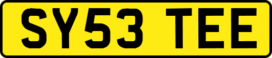 SY53TEE