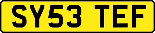 SY53TEF