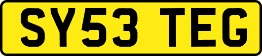 SY53TEG