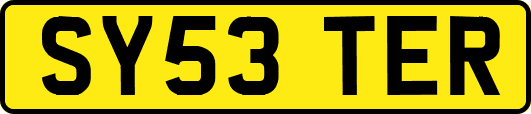 SY53TER