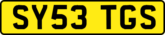 SY53TGS