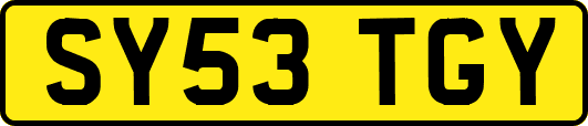 SY53TGY