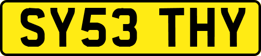 SY53THY