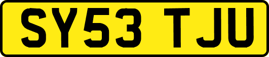 SY53TJU