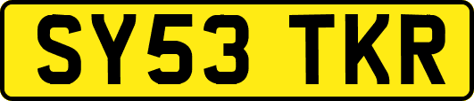 SY53TKR