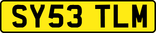 SY53TLM
