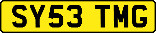 SY53TMG
