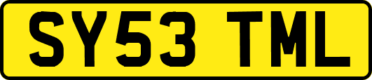 SY53TML