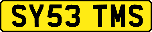 SY53TMS