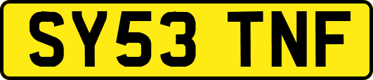 SY53TNF