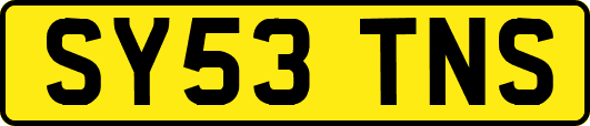 SY53TNS