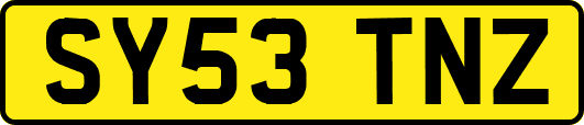 SY53TNZ