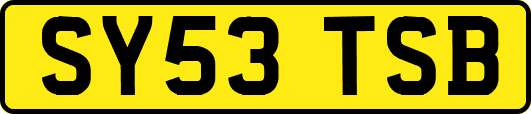 SY53TSB
