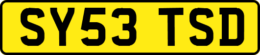 SY53TSD