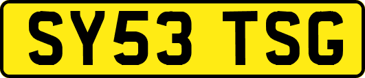 SY53TSG