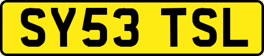 SY53TSL