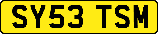 SY53TSM