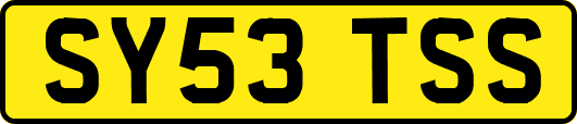 SY53TSS