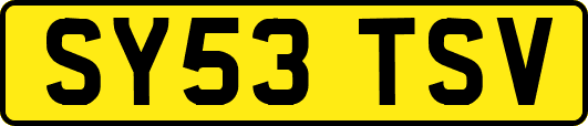 SY53TSV