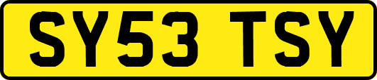 SY53TSY