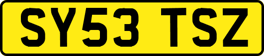 SY53TSZ
