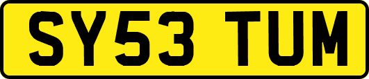 SY53TUM