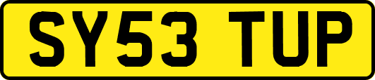 SY53TUP