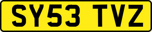 SY53TVZ
