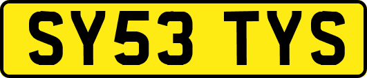 SY53TYS