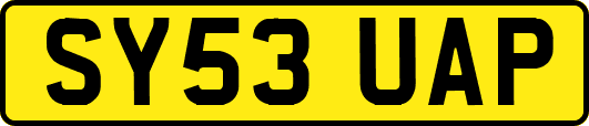 SY53UAP