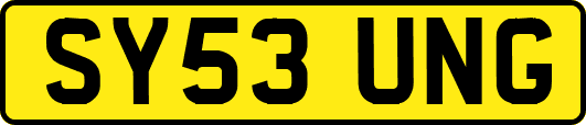 SY53UNG