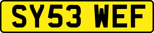 SY53WEF
