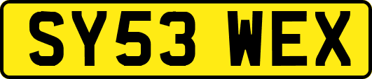 SY53WEX
