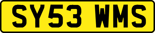 SY53WMS