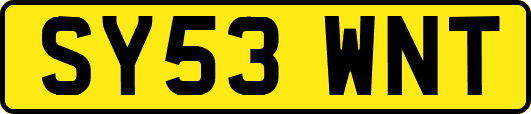 SY53WNT