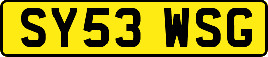 SY53WSG